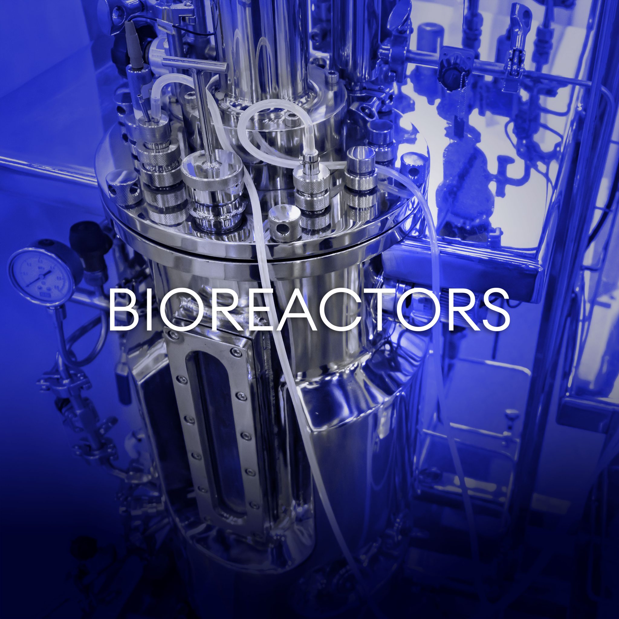 About Us The Cultivated B